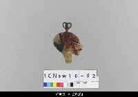 中國北京皮影藏品圖，第2張